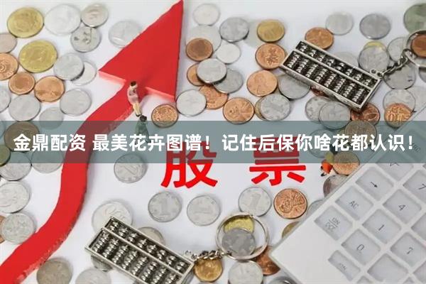 金鼎配资 最美花卉图谱！记住后保你啥花都认识！