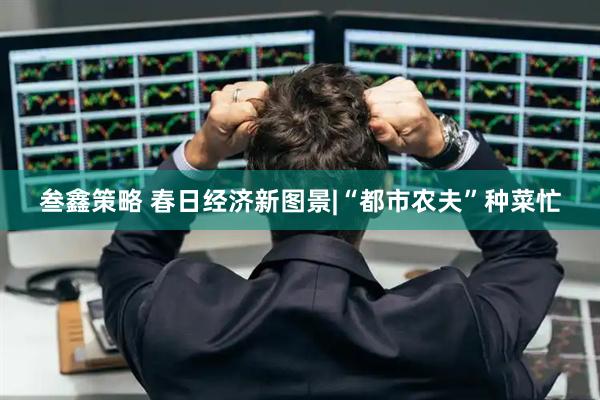 叁鑫策略 春日经济新图景|“都市农夫”种菜忙