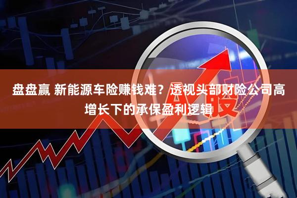 盘盘赢 新能源车险赚钱难？透视头部财险公司高增长下的承保盈利逻辑